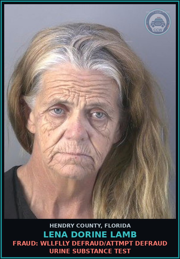 Booking mugshot of LENA DORINE LAMB in Hendry County
