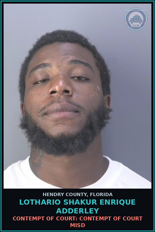 Booking mugshot of LOTHARIO SHAKUR ENRIQUE ADDERLEY in Hendry County