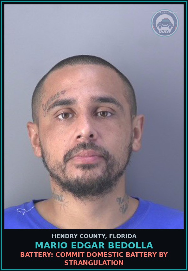 Booking mugshot of MARIO EDGAR BEDOLLA in Hendry County