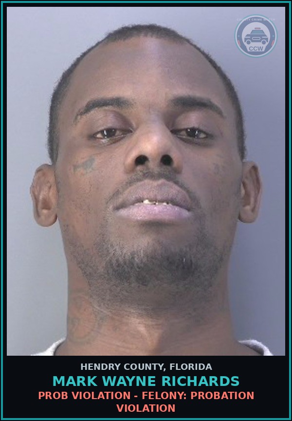 Booking mugshot of MARK WAYNE RICHARDS in Hendry County