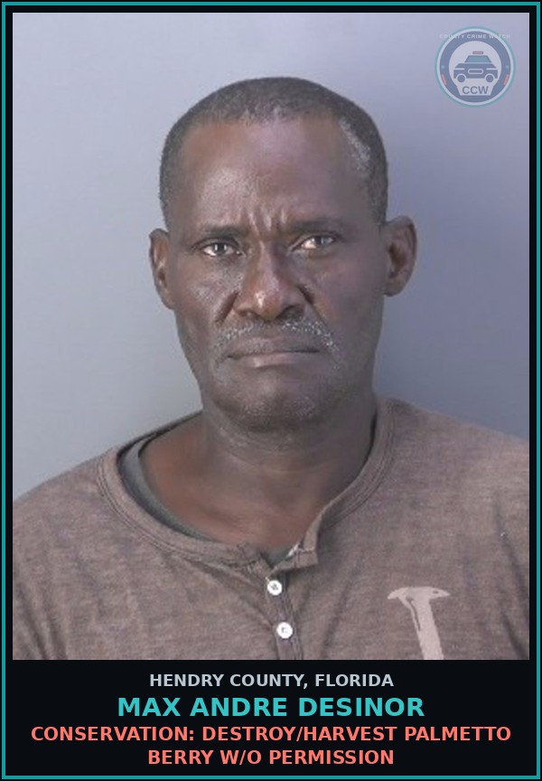 Booking mugshot of MAX ANDRE DESINOR in Hendry County