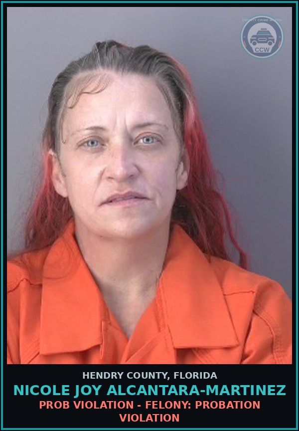 Booking mugshot of NICOLE JOY ALCANTARA-MARTINEZ in Hendry County
