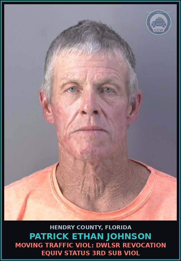 Booking mugshot of PATRICK ETHAN JOHNSON in Hendry County
