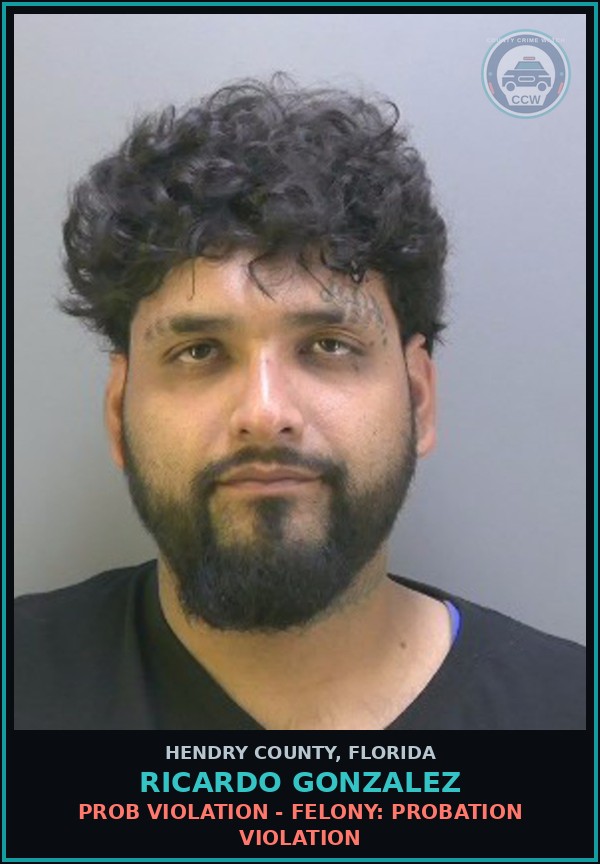 Booking mugshot of RICARDO GONZALEZ in Hendry County