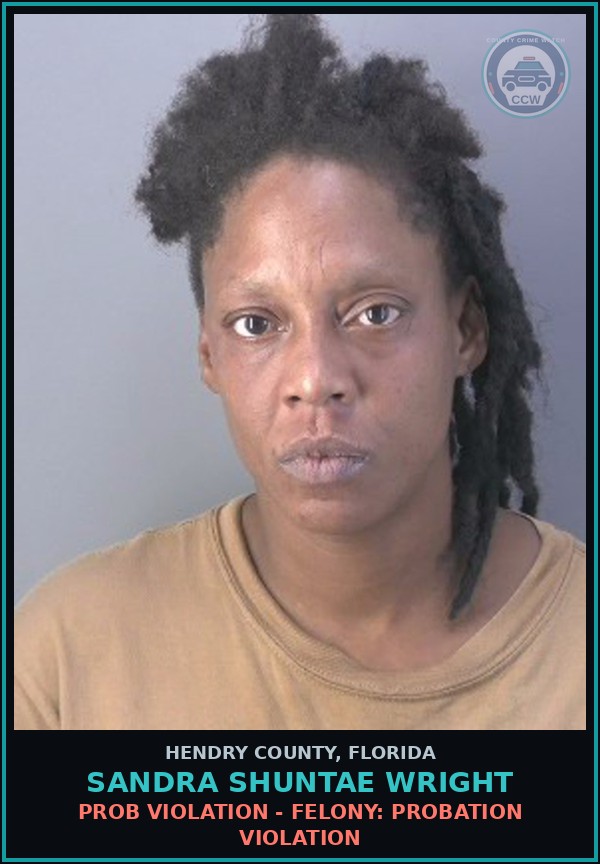 Booking mugshot of SANDRA SHUNTAE WRIGHT in Hendry County