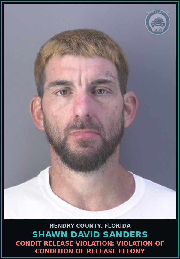 Booking mugshot of SHAWN DAVID SANDERS in Hendry County