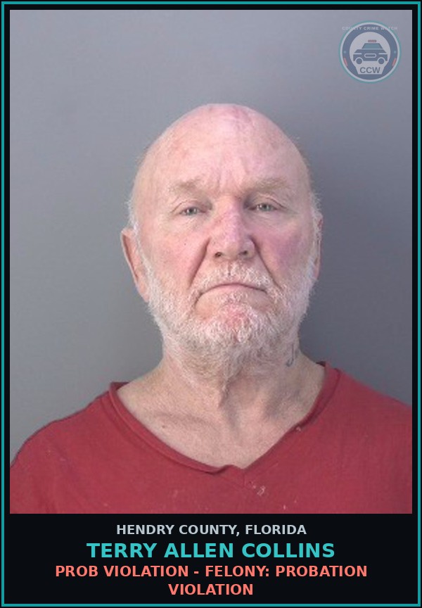 Booking mugshot of TERRY ALLEN COLLINS in Hendry County