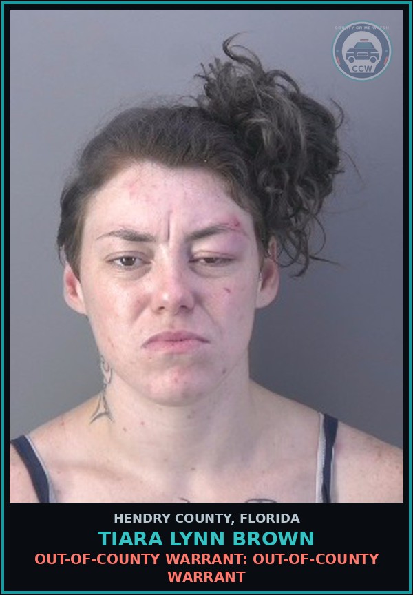 Booking mugshot of TIARA LYNN BROWN in Hendry County