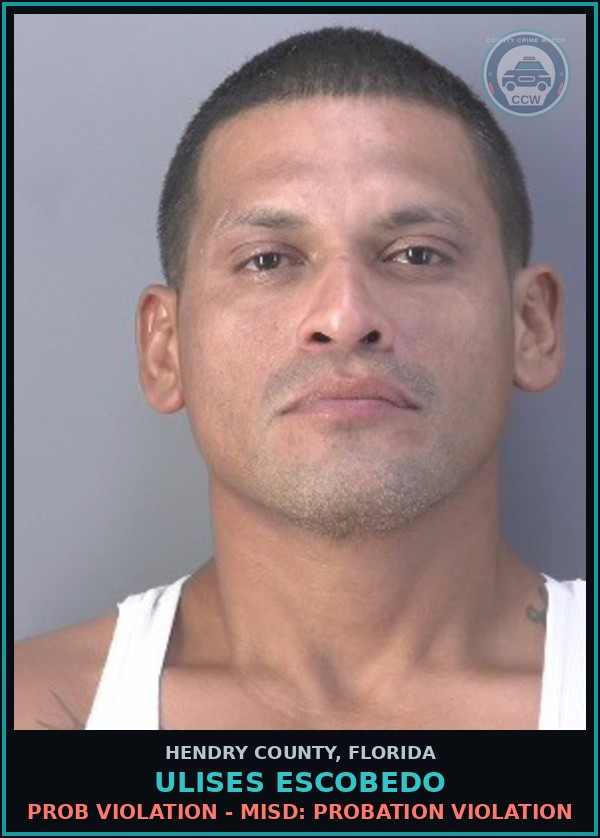 Booking mugshot of ULISES ESCOBEDO in Hendry County