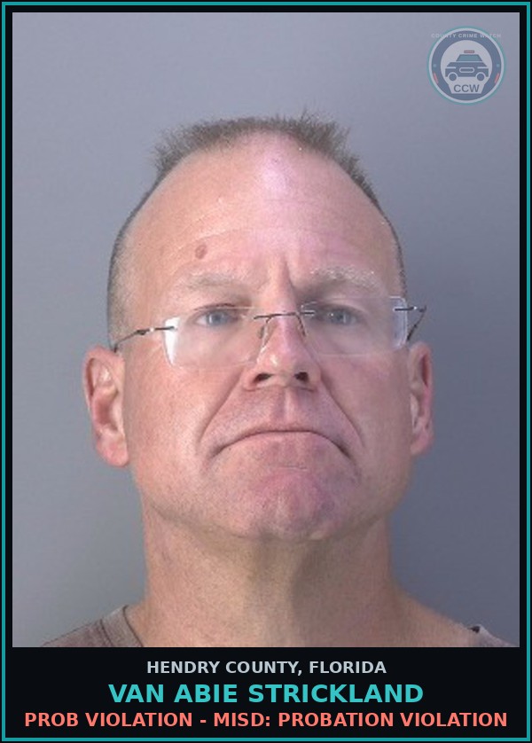 Booking mugshot of VAN ABIE STRICKLAND in Hendry County