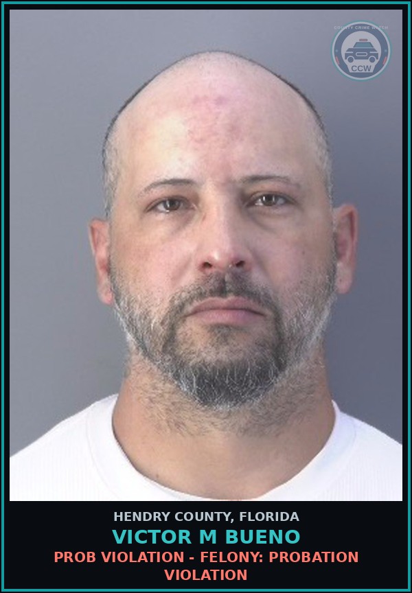 Booking mugshot of VICTOR M BUENO in Hendry County