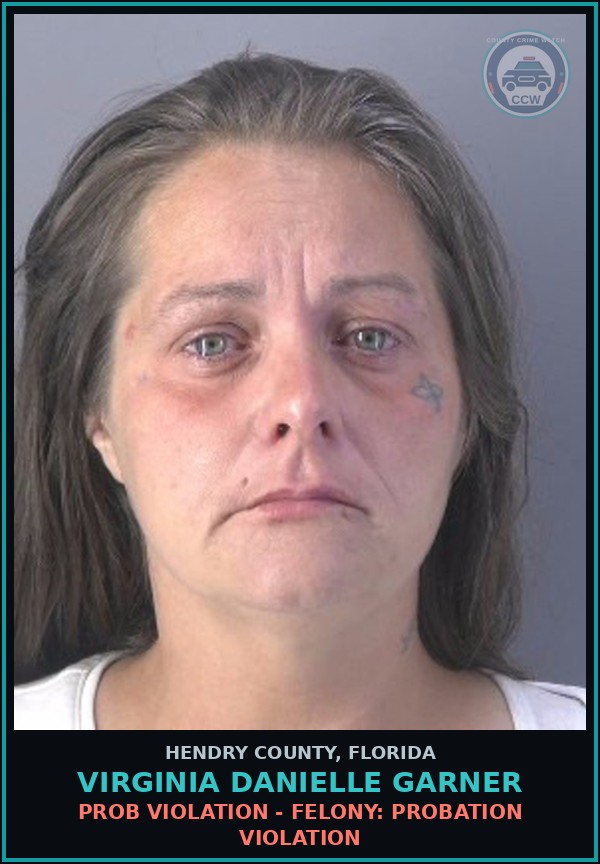 Booking mugshot of VIRGINIA DANIELLE GARNER in Hendry County
