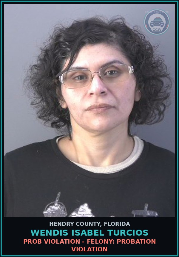 Booking mugshot of WENDIS ISABEL TURCIOS in Hendry County
