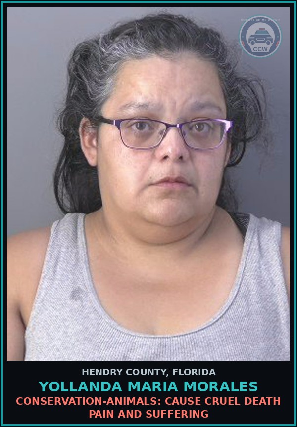Booking mugshot of YOLLANDA MARIA MORALES in Hendry County