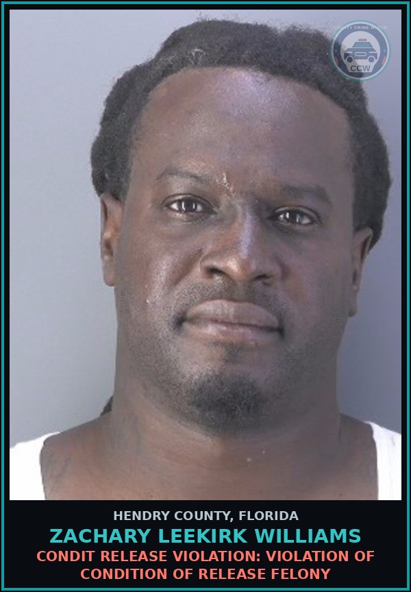 Booking mugshot of ZACHARY LEEKIRK WILLIAMS in Hendry County
