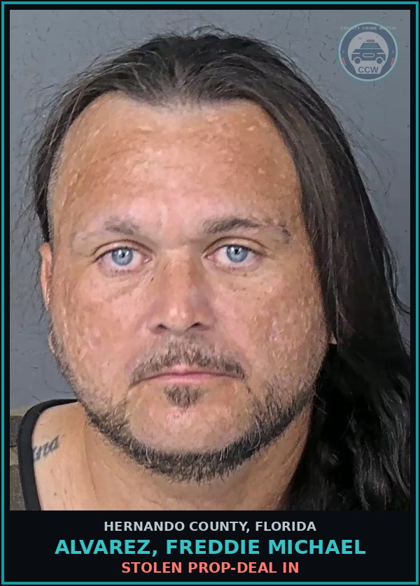 Booking mugshot of ALVAREZ, FREDDIE MICHAEL in Hernando County