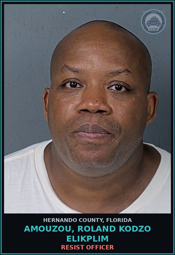 Booking mugshot of AMOUZOU, ROLAND KODZO ELIKPLIM in Hernando County