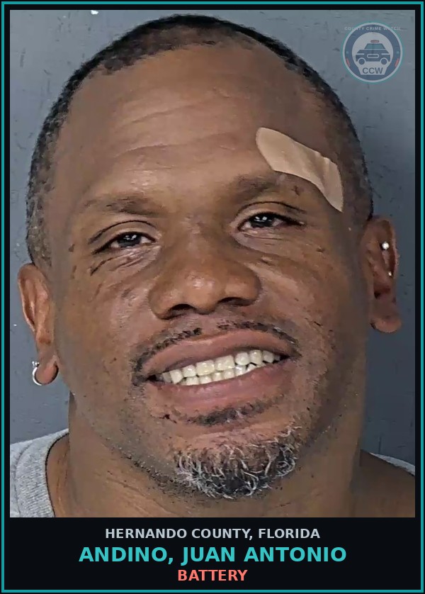Booking mugshot of ANDINO, JUAN ANTONIO in Hernando County