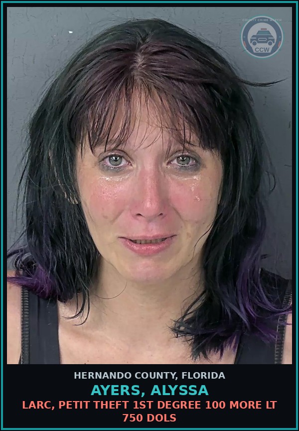 Booking mugshot of AYERS, ALYSSA in Hernando County