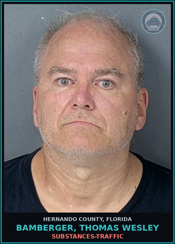 Booking mugshot of BAMBERGER, THOMAS WESLEY in Hernando County