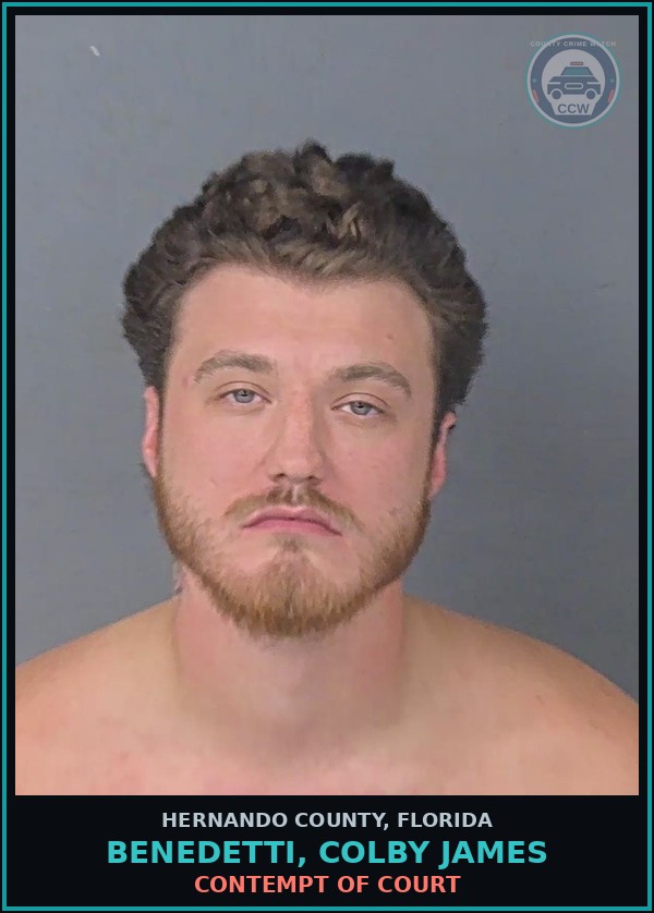 Booking mugshot of BENEDETTI, COLBY JAMES in Hernando County