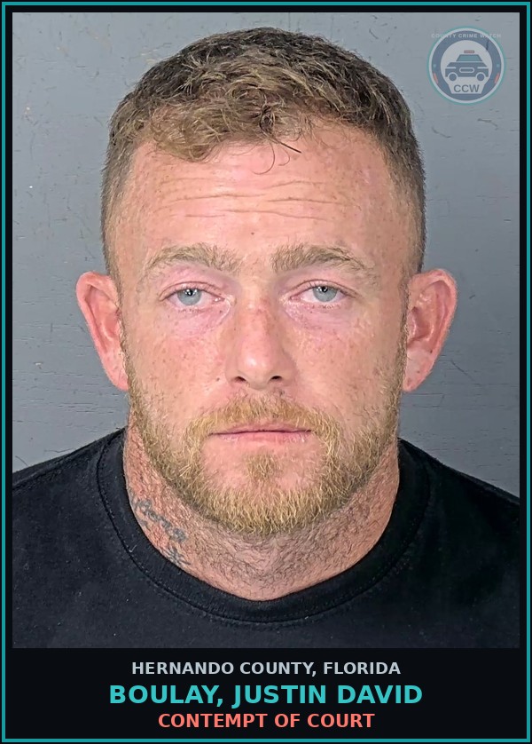 Booking mugshot of BOULAY, JUSTIN DAVID in Hernando County