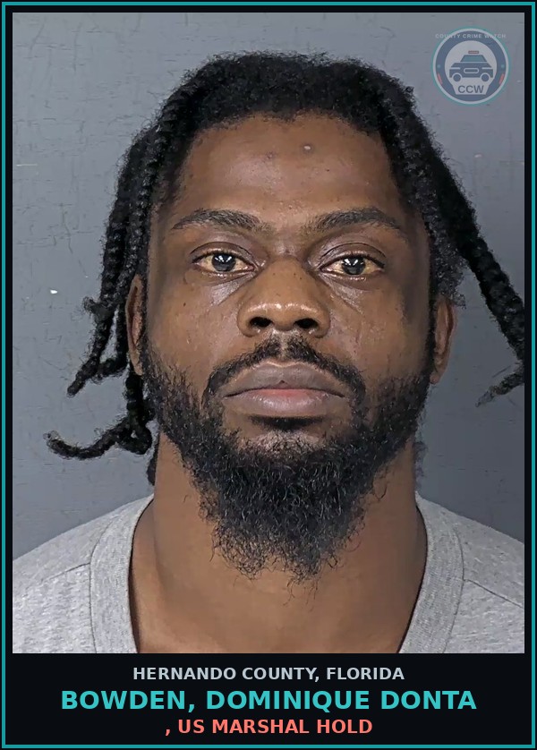 Booking mugshot of BOWDEN, DOMINIQUE DONTA in Hernando County
