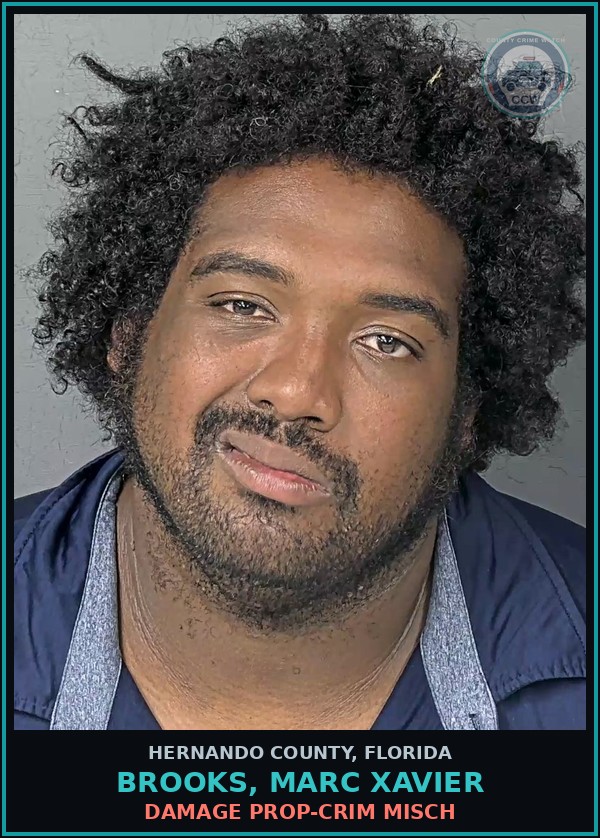 Booking mugshot of BROOKS, MARC XAVIER in Hernando County