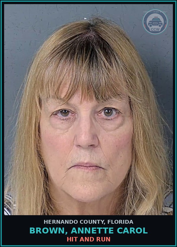 Booking mugshot of BROWN, ANNETTE CAROL in Hernando County