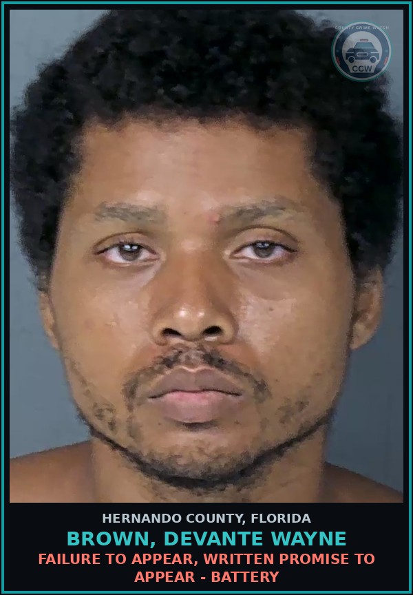 Booking mugshot of BROWN, DEVANTE WAYNE in Hernando County
