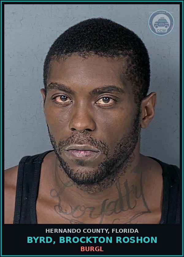 Booking mugshot of BYRD, BROCKTON ROSHON in Hernando County