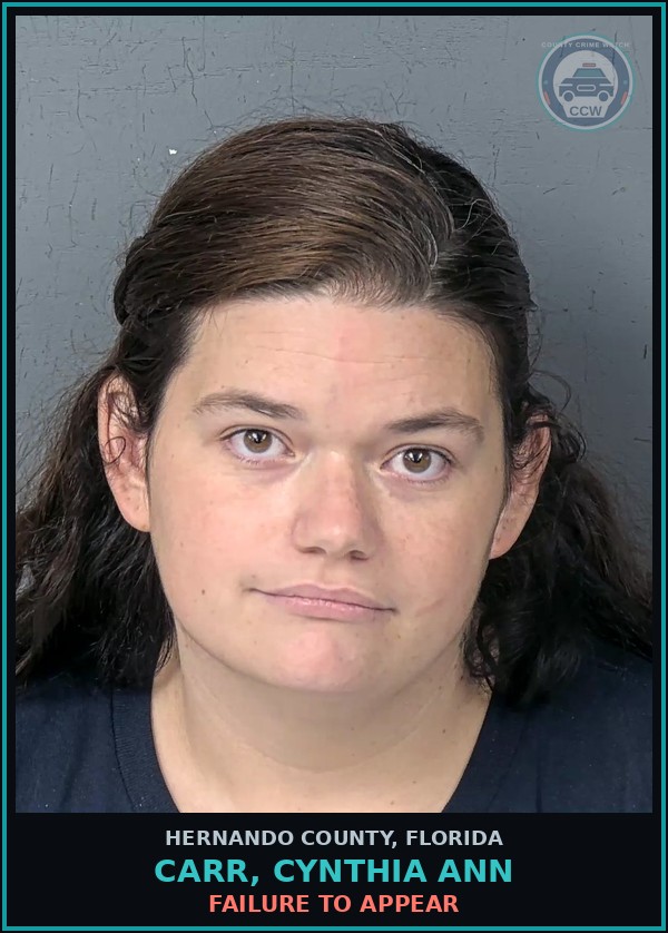Booking mugshot of CARR, CYNTHIA ANN in Hernando County