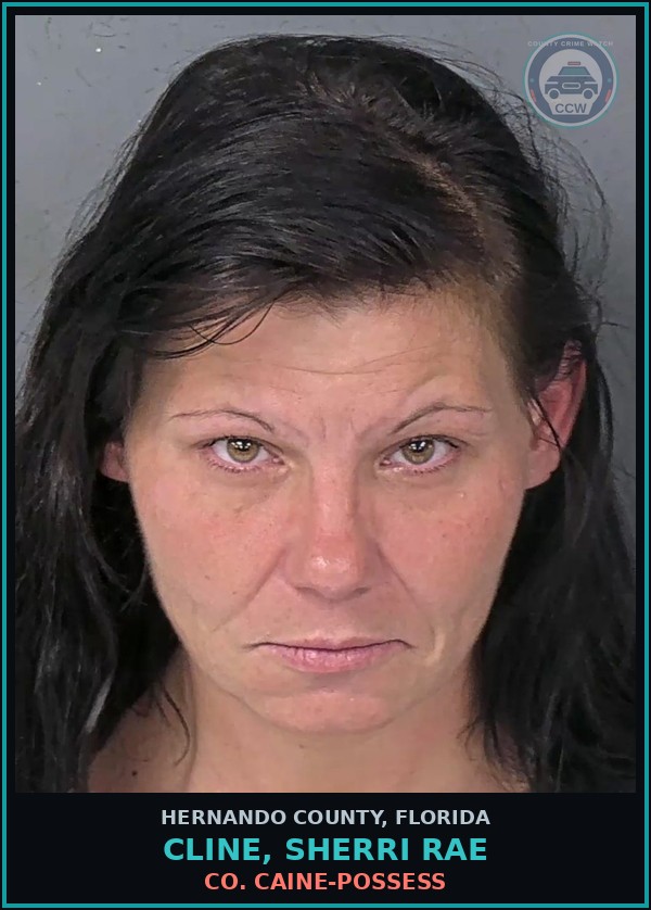 Booking mugshot of CLINE, SHERRI RAE in Hernando County