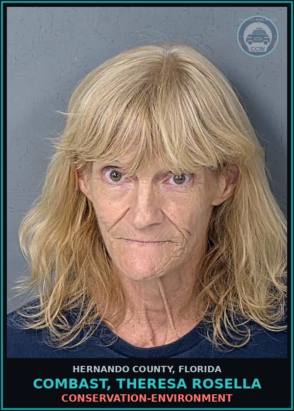 Booking mugshot of COMBAST, THERESA ROSELLA in Hernando County