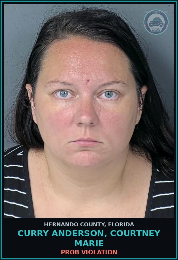 Booking mugshot of CURRY ANDERSON, COURTNEY MARIE in Hernando County