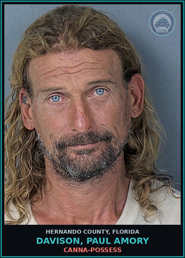 Booking mugshot of DAVISON, PAUL AMORY in Hernando County