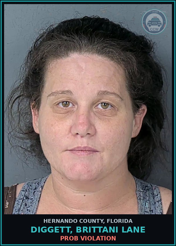 Booking mugshot of DIGGETT, BRITTANI LANE in Hernando County