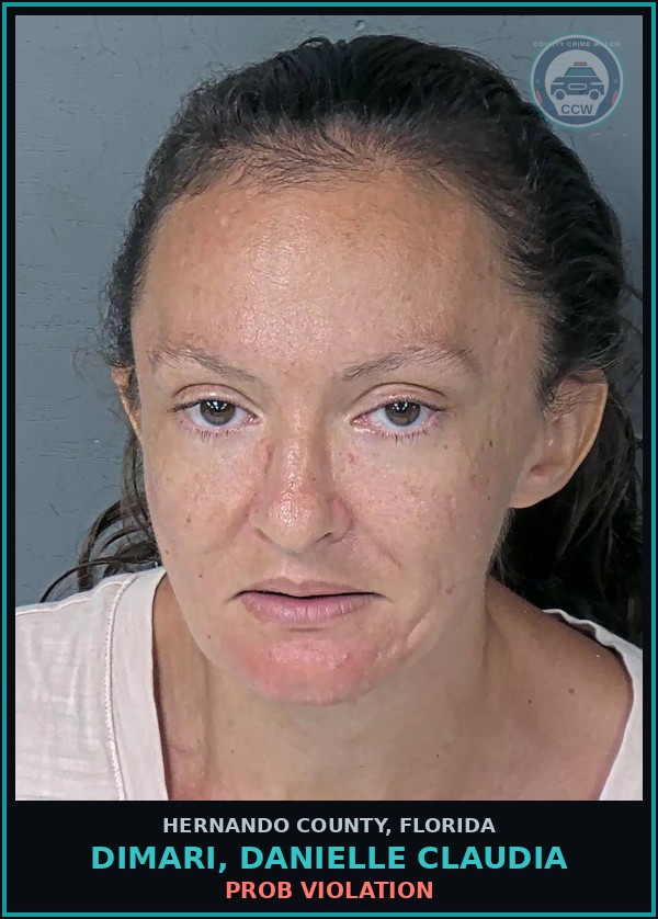 Booking mugshot of DIMARI, DANIELLE CLAUDIA in Hernando County