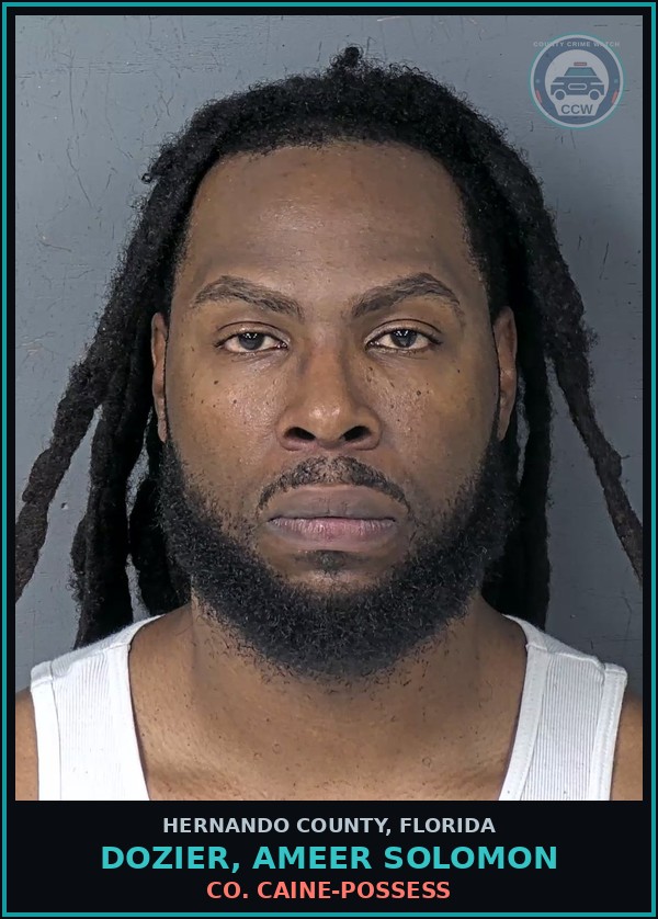 Booking mugshot of DOZIER, AMEER SOLOMON in Hernando County