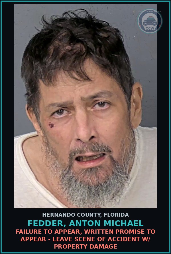 Booking mugshot of FEDDER, ANTON MICHAEL in Hernando County