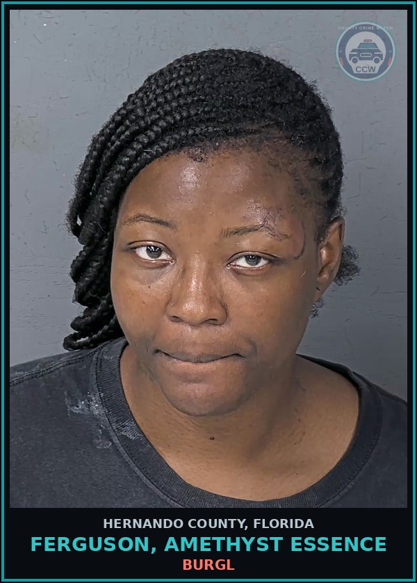 Booking mugshot of FERGUSON, AMETHYST ESSENCE in Hernando County