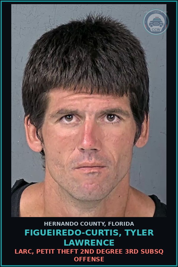 Booking mugshot of FIGUEIREDO-CURTIS, TYLER LAWRENCE in Hernando County