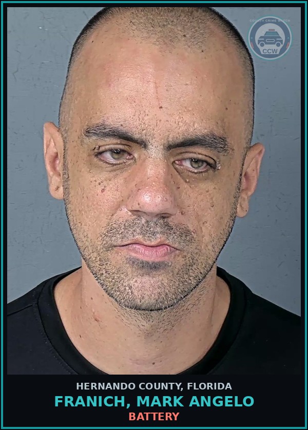 Booking mugshot of FRANICH, MARK ANGELO in Hernando County