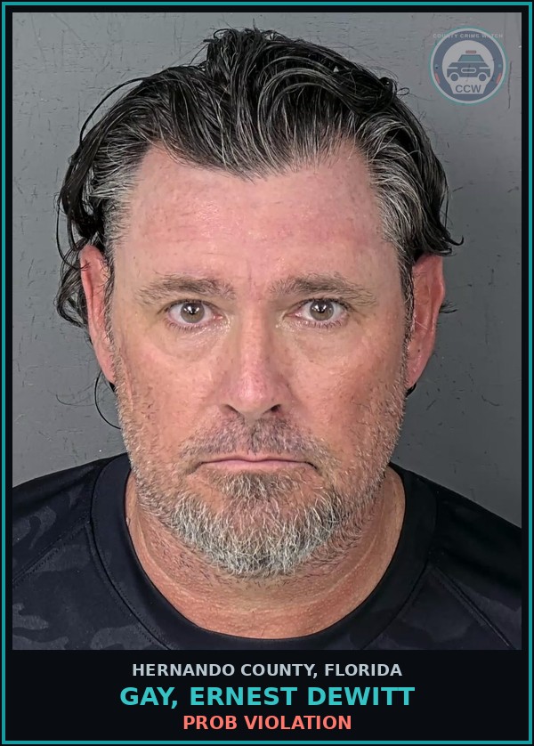 Booking mugshot of GAY, ERNEST DEWITT in Hernando County