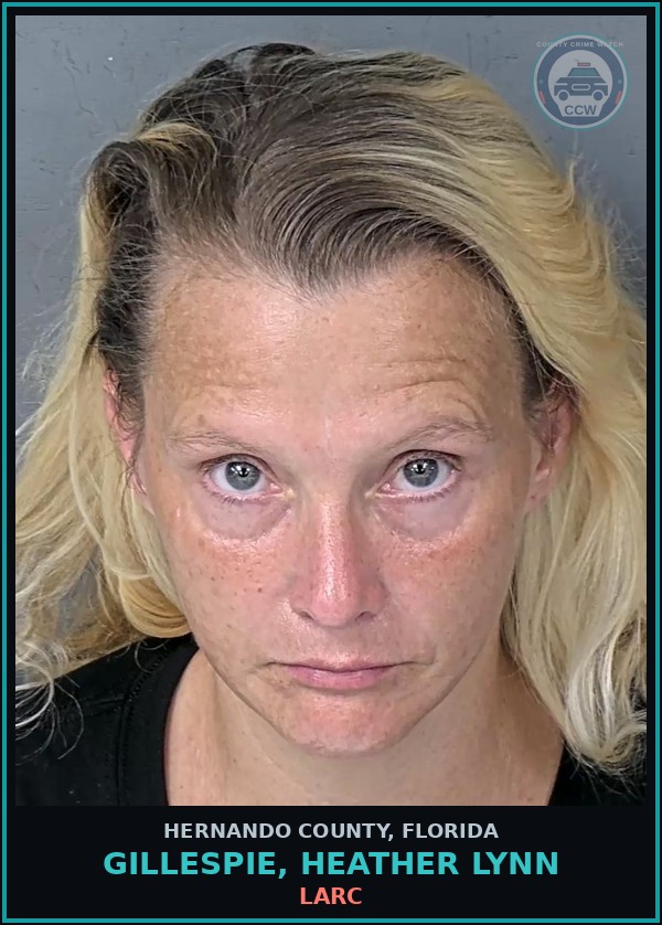 Booking mugshot of GILLESPIE, HEATHER LYNN in Hernando County
