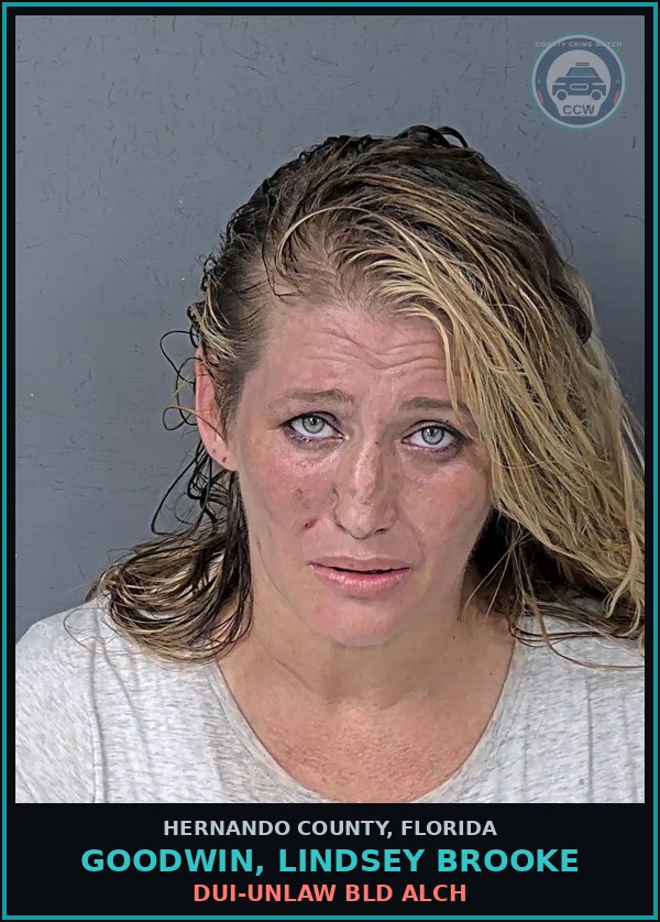 Booking mugshot of GOODWIN, LINDSEY BROOKE in Hernando County