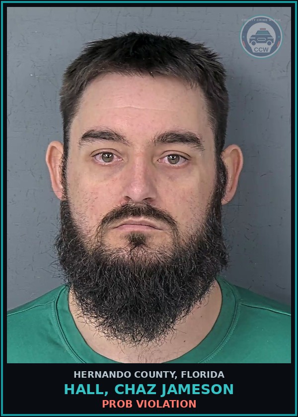 Booking mugshot of HALL, CHAZ JAMESON in Hernando County