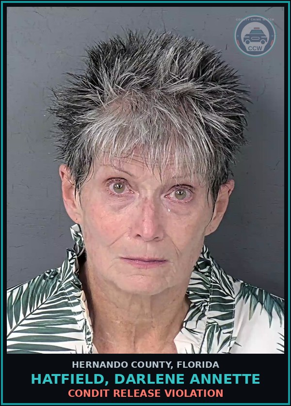 Booking mugshot of HATFIELD, DARLENE ANNETTE in Hernando County