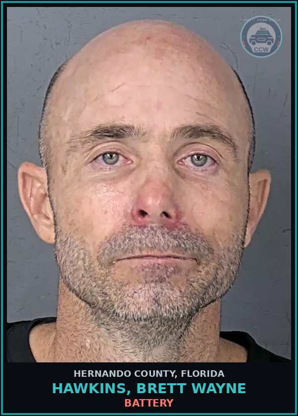 Booking mugshot of HAWKINS, BRETT WAYNE in Hernando County