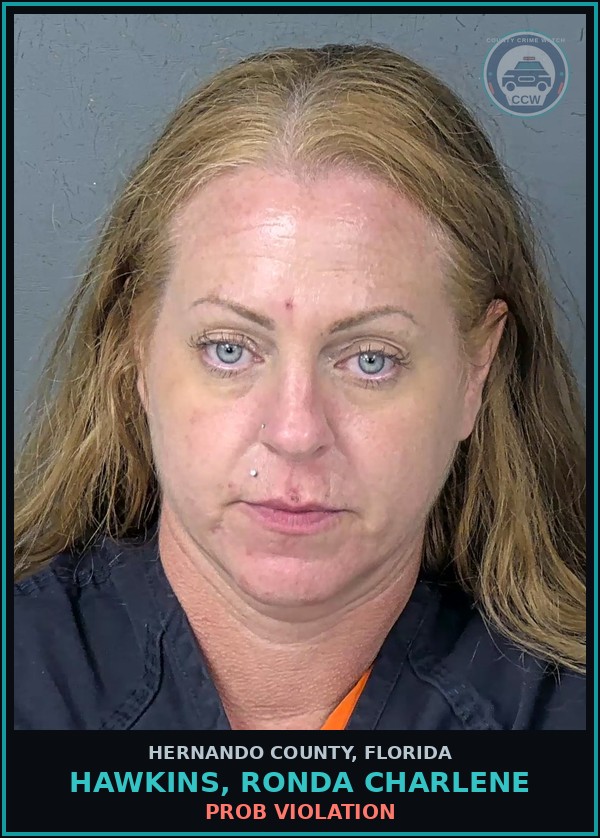 Booking mugshot of HAWKINS, RONDA CHARLENE in Hernando County